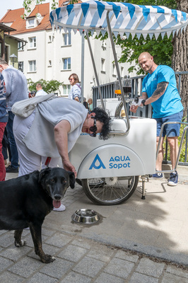 Sopot. Huczne otwarcie ulic Pułaskiego i Bema po remoncie.24.05.2026...