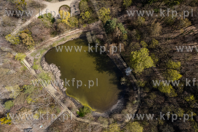 Staw Morskie Oko w Sopocie.
29.04.2022
fot. Krzysztof...