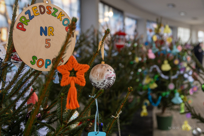 Sopot. Zapalenie światełek na ustrojonych przez dzieci...