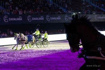 Ergo Arena. Cavaliada Sopot 2025. 26.01.2025 / fot....