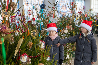 Sopot. Zapalenie światełek na ustrojonych przez dzieci...
