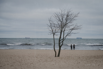 Chłodny, jesienny dzień na plaży w Sopocie. 16.11.2022...