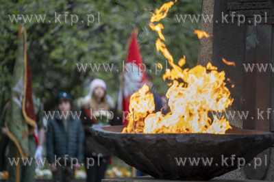 Sopocka Majówka. Oficjalne uroczystości 3 Maja -...