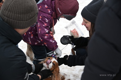 34 Finał WOŚP w Sopocie. Sopot. 25.01.2026 Fot. Wojciech...