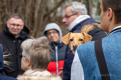 Sopot. Spacer po terenie, gdzie budowana jest nowa...