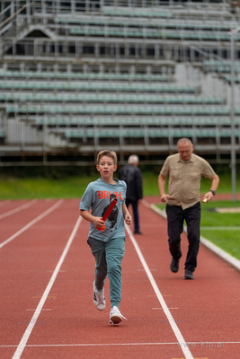 Stadion Leny. Sopocki Festyn Organizacji Pozarządowych,...