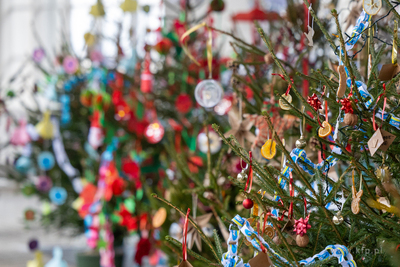 Sopot. Zapalenie światełek na ustrojonych przez dzieci...