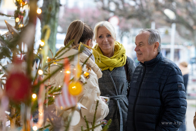 Sopot. Zapalenie światełek na ustrojonych przez dzieci...