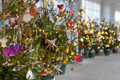 Sopot. Zapalenie światełek na ustrojonych przez dzieci...