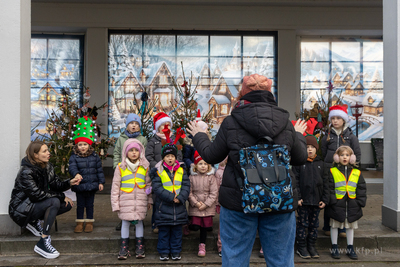 Sopot. Zapalenie światełek na ustrojonych przez dzieci...