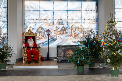 Sopot. Zapalenie światełek na ustrojonych przez dzieci...