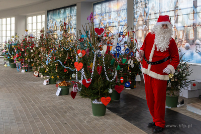 Sopot. Zapalenie światełek na ustrojonych przez dzieci...