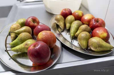 Sopot. Dzień otwarty w żłobku "Puchatek".12.04.2026...