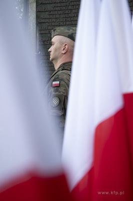 Uroczystości pod pomnikiem Martyrologii Polskich Mieszkańców...