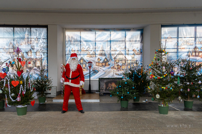 Sopot. Zapalenie światełek na ustrojonych przez dzieci...