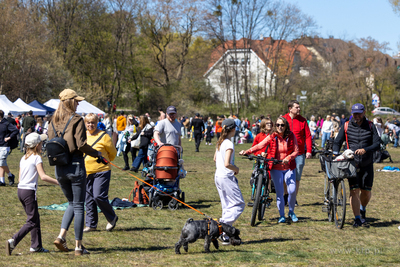 Sopocka majowka. 01.05.2026 / fot. Anna Rezulak / KFP