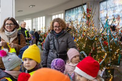 Sopot. Zapalenie światełek na ustrojonych przez dzieci...