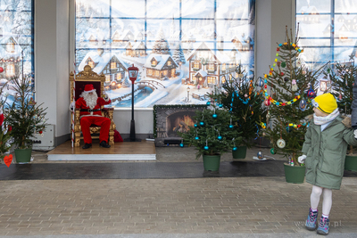 Sopot. Zapalenie światełek na ustrojonych przez dzieci...