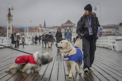 Finał wielkiej Orkiestry Świątecznej Pomocy w Sopocie.
26.01.2025
fot....