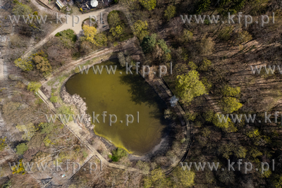 Staw Morskie Oko w Sopocie.
29.04.2022
fot. Krzysztof...