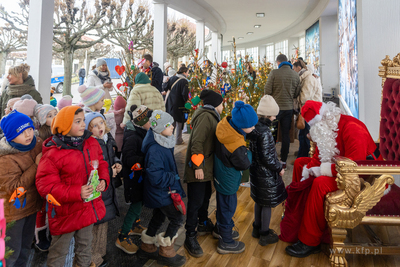 Sopot. Zapalenie światełek na ustrojonych przez dzieci...