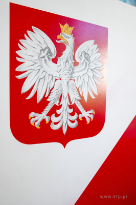 Wybory prezydenckie 2025 w Sopocie. Prezydentka Magdalena...