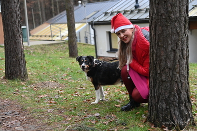 Dzień otwarty w Sopotkowie. 
8.12.2024
fot. Wojciech...