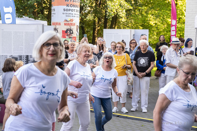 Piknik otwarcia Budżetu Obywatelskiego na Brodwinie....