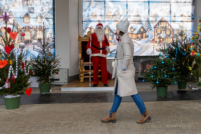 Sopot. Zapalenie światełek na ustrojonych przez dzieci...