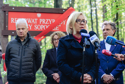 Sopot.  Wielka Gwiazda,  Lasy Sopockie.  Uroczyste...