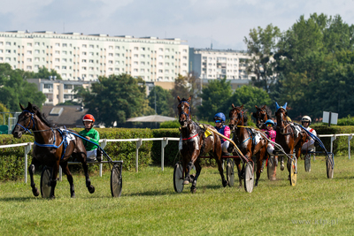 Wyścigi konne na Hipodrom Sopot. 12.07.2026 fot. Paweł...