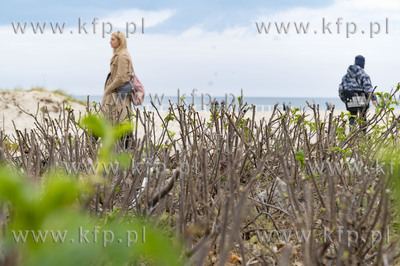 Sopocka Majówka.  Plaża. 03.05.2022 / Fot. Anna Bobrowska...