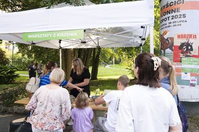 Piknik otwarcia Budżetu Obywatelskiego na Brodwinie....