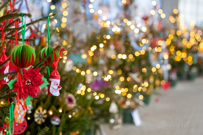 Sopot. Zapalenie światełek na ustrojonych przez dzieci...