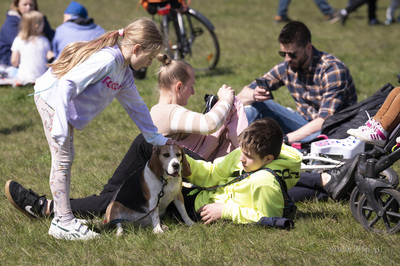 Sopockie Błonia. Majówka w kurorcie. Piknik rodzinny.

01.05.2023...