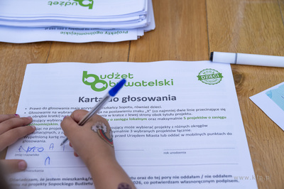 Piknik otwarcia Budżetu Obywatelskiego na Brodwinie....