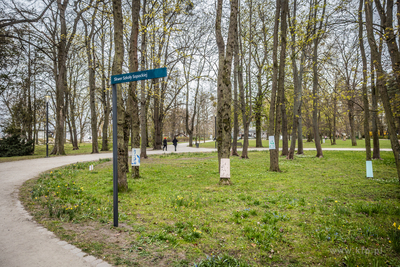 Sopot. Park Północny. Odsłonięciedziś  tablicy...