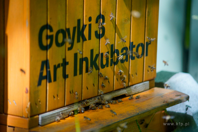 Sopot. Goyki 3 Art Inkubator w zabytkowej willi J nckego...