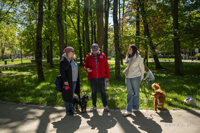 Sopot. Spotkanie z Mewą Sopocianką i spacer fotograficzny...