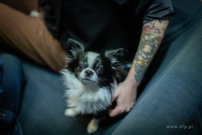 Sopocki Weekend Sztuki. Wernisaż wystawy zbiorowej...