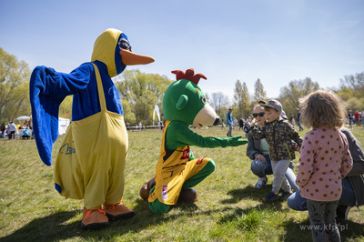 Sopockie Błonia. Majówka w kurorcie. Piknik rodzinny.

01.05.2023...