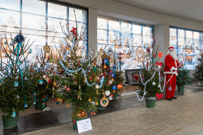 Sopot. Zapalenie światełek na ustrojonych przez dzieci...
