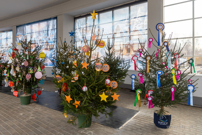 Sopot. Zapalenie światełek na ustrojonych przez dzieci...