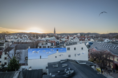 Sopocki Weekend Sztuki. Spacer zlakiem sopockich murali.
15.11.2025
fot....