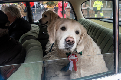 Sopot. Święto Niepodległości. Parada rowerzystów,...