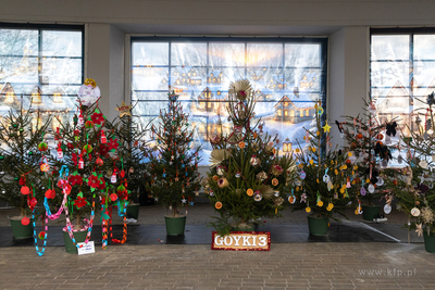 Sopot. Zapalenie światełek na ustrojonych przez dzieci...